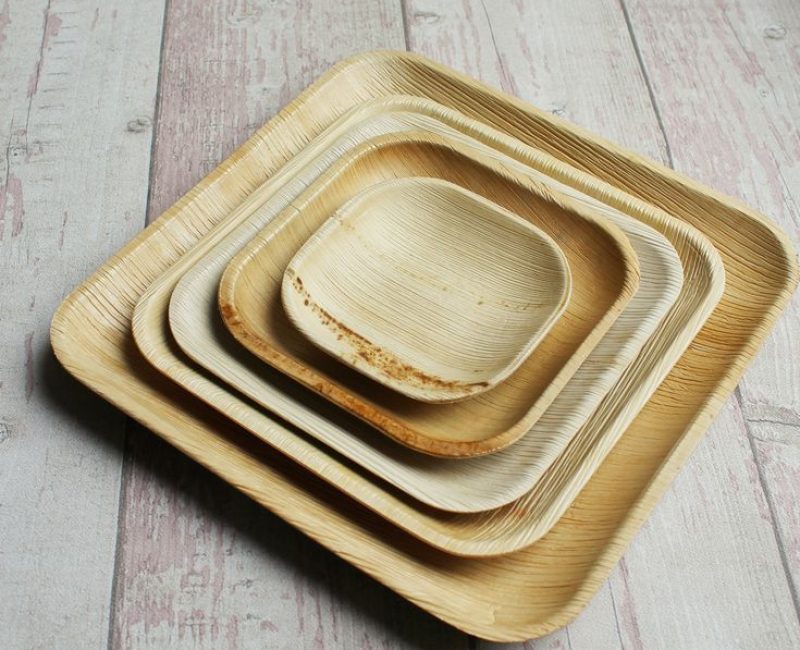 10 Palm Leaf Bundle Set with Cutlery _Disposable _ Natural and Eco Friendly _ Party_ Picnic_ Bamboo Style Plates_ Rustic_ Combo