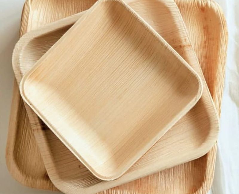 Amazon_com_ All Natural Palm Leaf Paper Plates, 25…