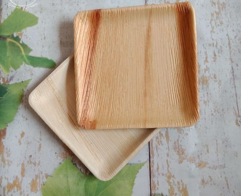 Areca palm leaf plates