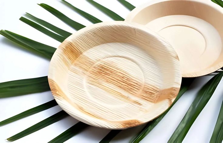 Exploring the Environmental Benefits of Areca Palm Leaf Plates